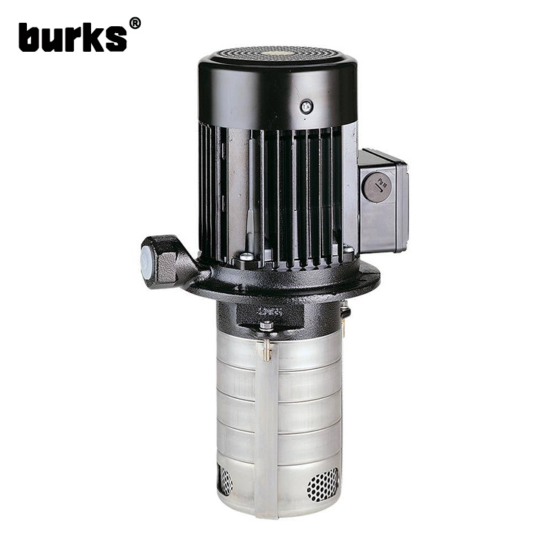 The burks BKS1-2-4 series special hydraulic pump for machine tool
